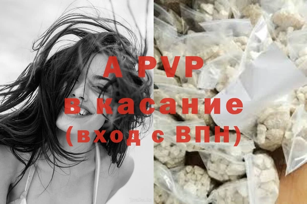 спиды Белокуриха