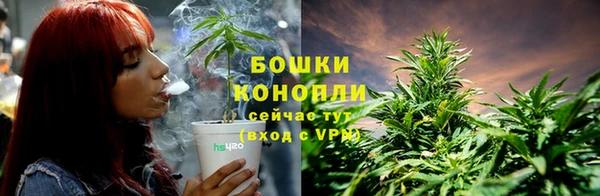 спиды Белокуриха