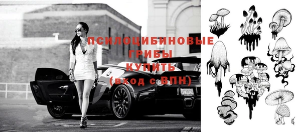 спиды Белокуриха