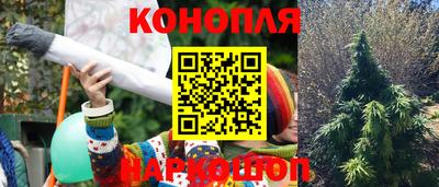 гидра Рыбинск