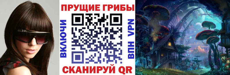 Галлюциногенные грибы GOLDEN TEACHER  купить  цена  Сердобск 