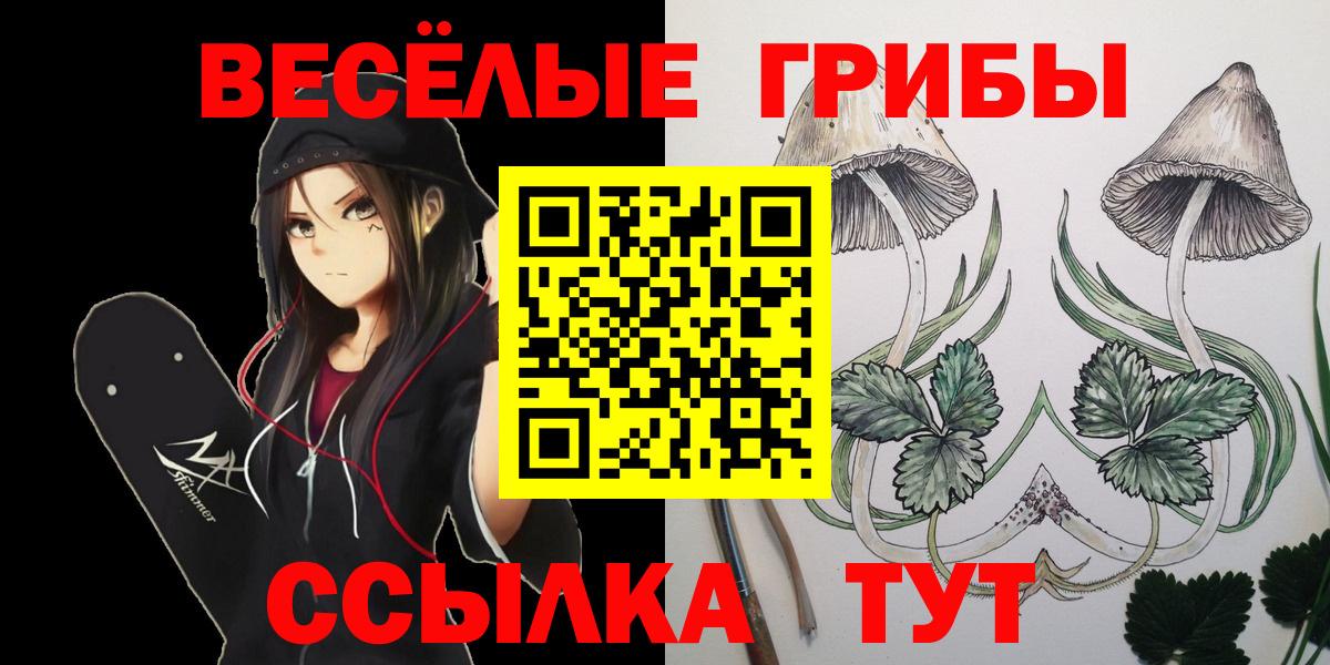 Псилоцибиновые грибы GOLDEN TEACHER  Вход с VPN  Сердобск 