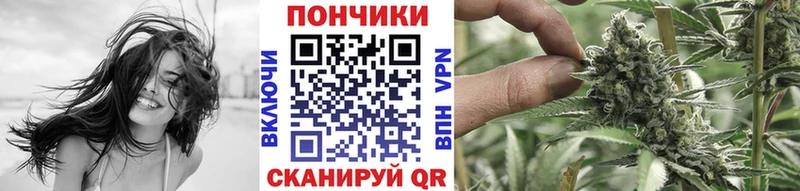 Каннабис сатива что такое ОМГ ОМГ маркетплейс Сердобск